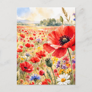 Carte Postale Champ de coquelicots - Coquelicot à l'aquarelle