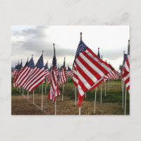 Champ de drapeaux - drapeaux américains patriotiqu