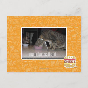 Carte Postale champ de nom force