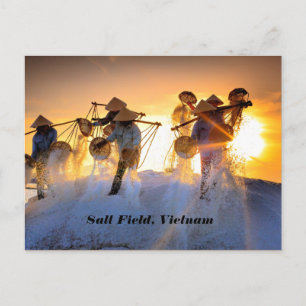Carte Postale Champ de sel du Vietnam