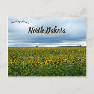 Carte Postale Champ de tournesol dans le Dakota du Nord USA