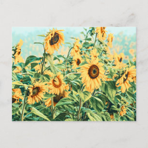 Carte Postale Champ de tournesols Jaune Bleu Turquoise Design Fl