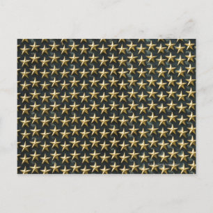 Carte Postale Champ d'étoiles au Mémorial de la Seconde Guerre m