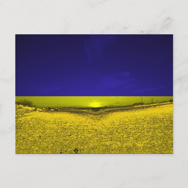 Carte Postale Champ en couleurs en Ukraine (Devant)