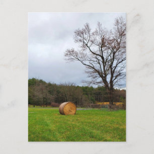 Carte Postale Champ le jour nuageux