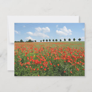 Carte Postale Champ Poppy