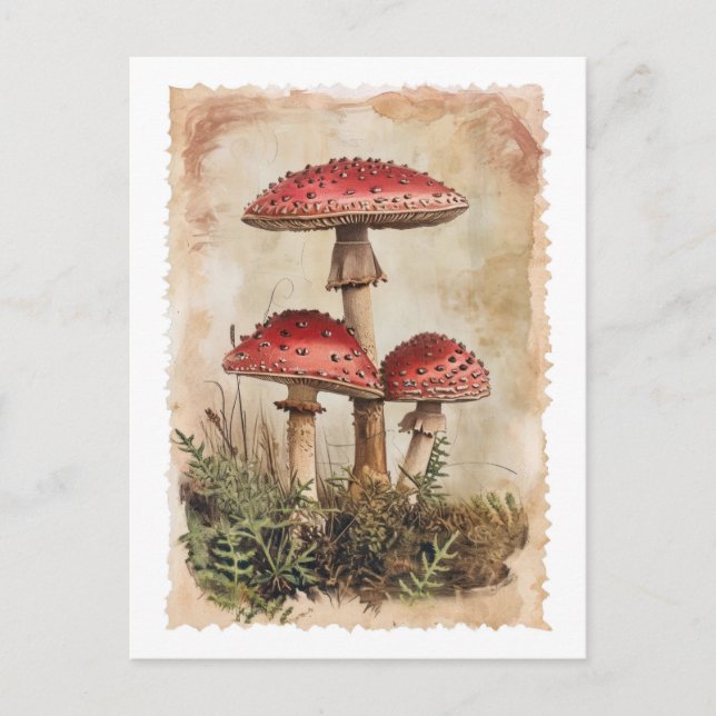 Carte postale Champignon rouge vintage (Devant)