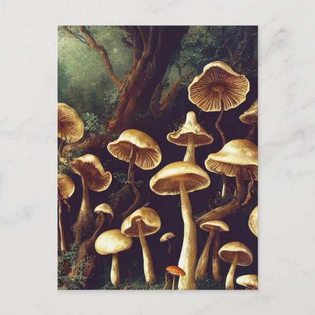 Carte postale Champignons (Devant)