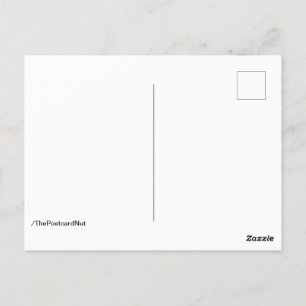 Carte Postale Champignons