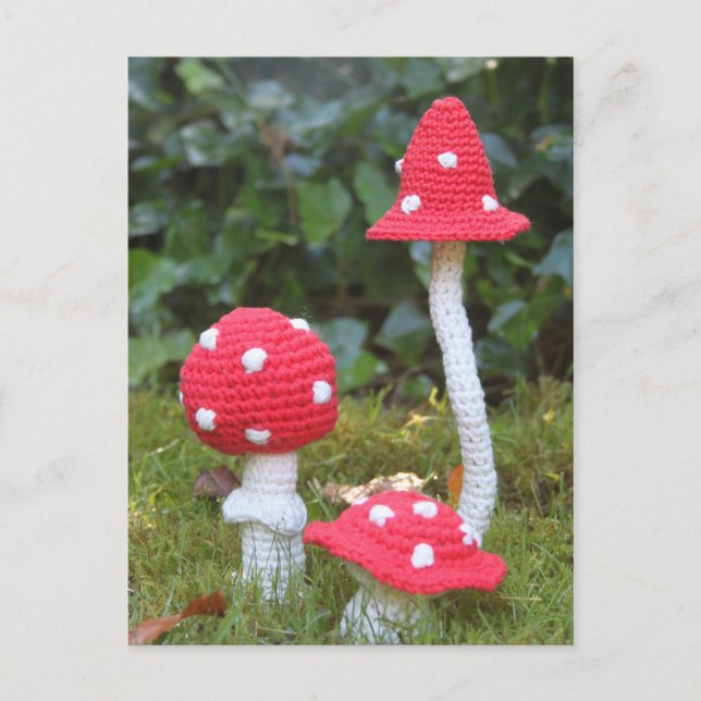 Carte Postale Champignons (Devant)