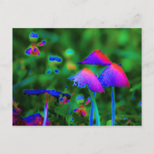 Carte Postale Champignons Imaginaires