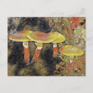 Carte Postale Champignons mystiques