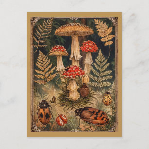 Carte Postale Champignons vintages en bois Salutation d'automne