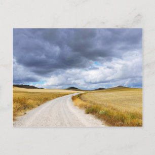 Carte Postale Champs de blé récoltés