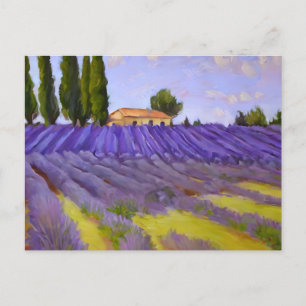 Carte Postale Champs de fleurs de lavande