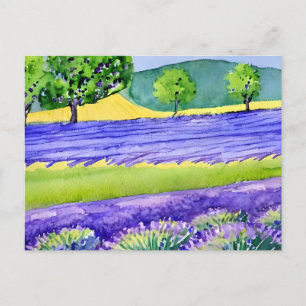 Carte Postale Champs de lavande France