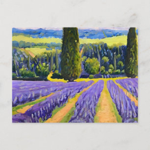 Carte Postale Champs de lavande violet