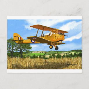 CARTE POSTALE CHAMPS TIGERMOTH