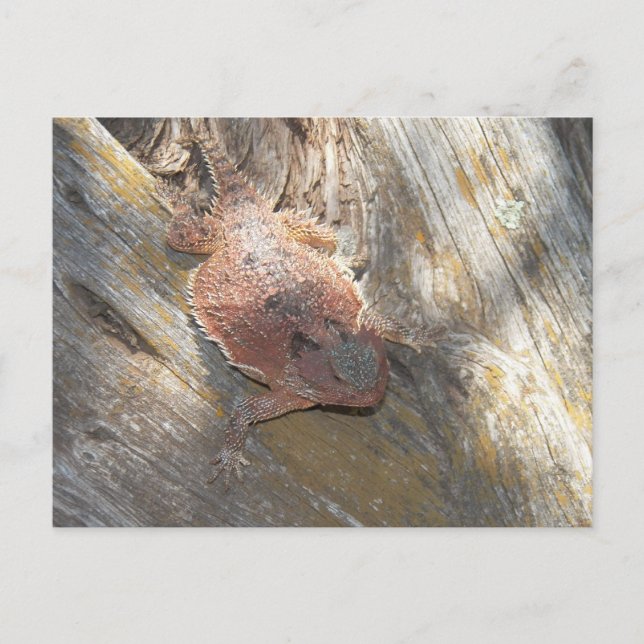 Carte Postale changé de nom en "fraise" (Devant)