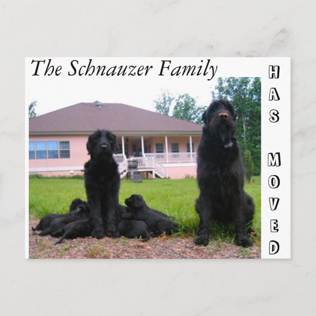 Carte postale Changement d'adresse (Devant)