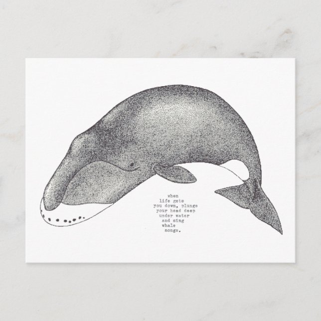 Carte Postale chansons de baleine (Devant)