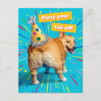 Chapeau d'anniversaire pour derrière de Corgi