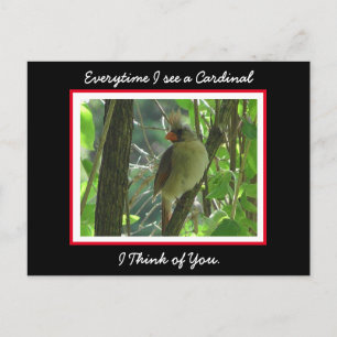 Carte Postale Chaque fois que je vois un cardinal, je pense à To