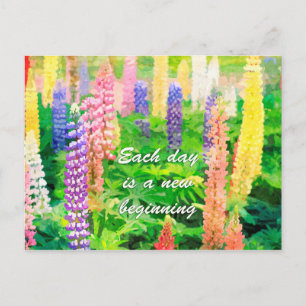 Carte Postale Chaque jour est une nouvelle fleur de lupine color