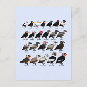 Carte Postale Chaque vautour