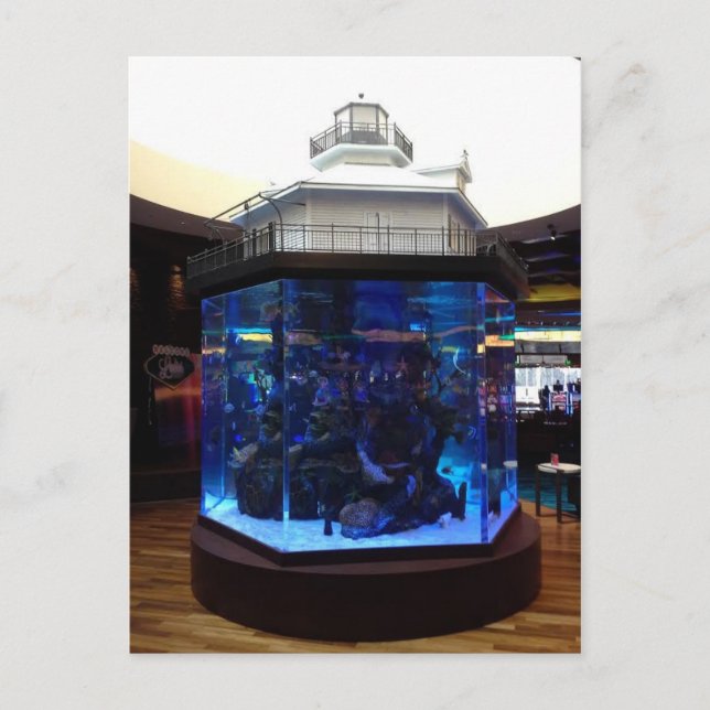 Carte Postale Char à poissons du phare de Middle Bay (Devant)