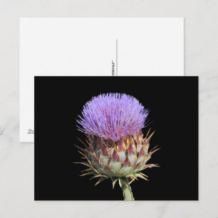 Carte postale - Chardon