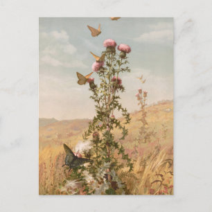 Carte Postale Chardon   Fidelia Bridges