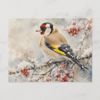 Carte Postale Chardonneret élégant oiseau aux baies d'hiver à l'