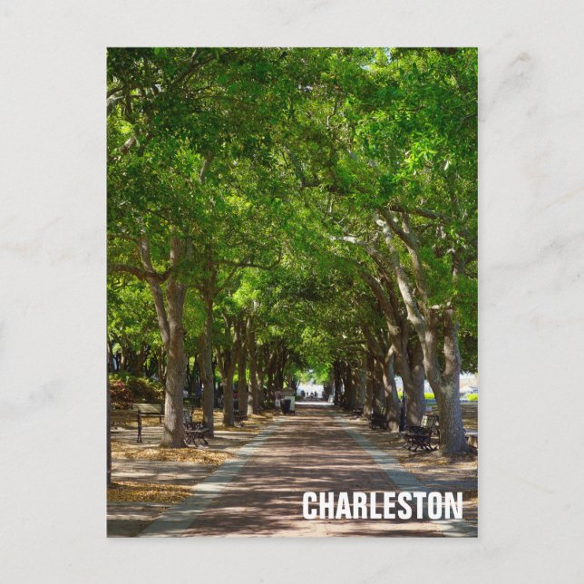 Carte Postale Charelston South Carolina Ravenel Waterfront Park (Devant)