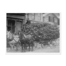 Chargement en Wagon des arbres de Noël