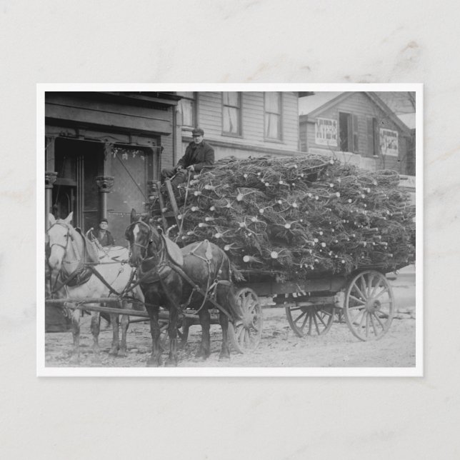 Carte Postale Chargement en Wagon des arbres de Noël (Devant)