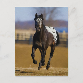 Carte Postale Chargeur