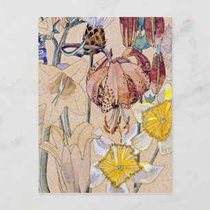 Carte Postale Charles Rennie Mackintosh - Mont Louis - Fleur
