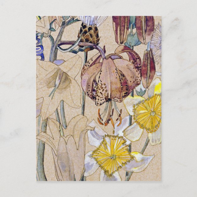 Carte Postale Charles Rennie Mackintosh - Mont Louis - Fleur (Devant)