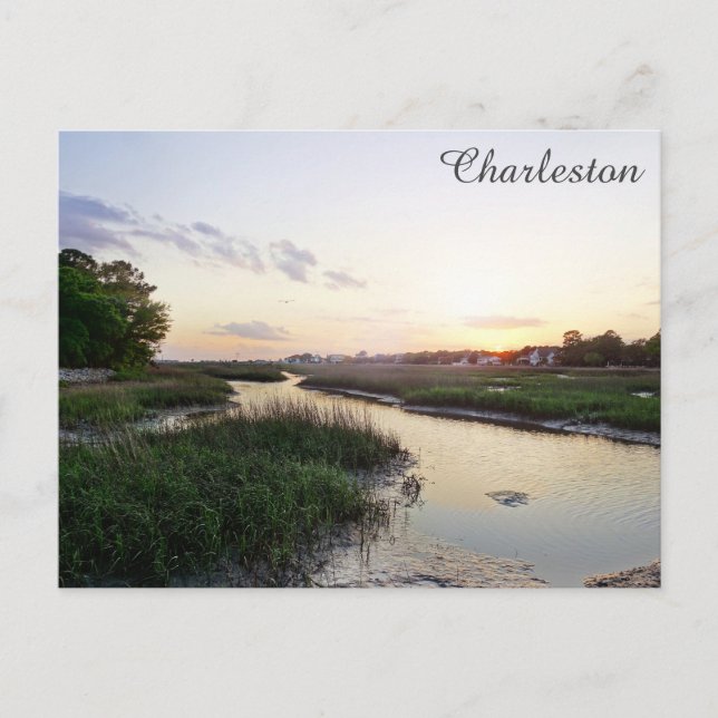 Carte Postale Charleston Caroline du Sud - Pays Bas (Devant)