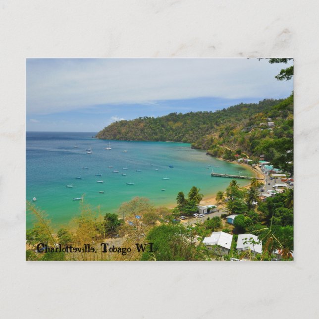 Carte Postale Charlotteville, Tobago W.I. (Devant)