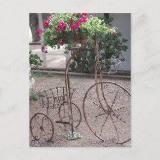 Carte Postale Charme du jardin