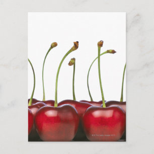 Carte Postale Charries tiré au premier plan de