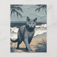 Chartreux-Cat sur une plage tropicale au coucher d