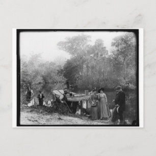 Carte Postale Chasse à l'alligator, rivière Tomoka, Floride 1880