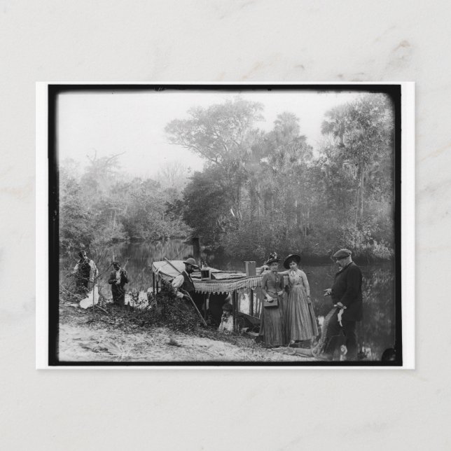 Carte Postale Chasse à l'alligator, rivière Tomoka, Floride 1880 (Devant)