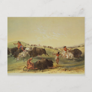 Carte Postale Chasse au bison