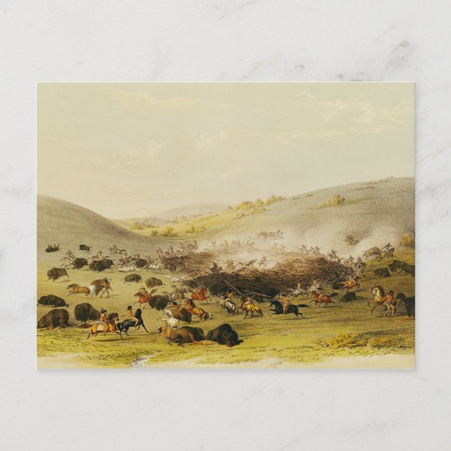 Carte Postale Chasse au bison, Surround, c.1832 (Devant)