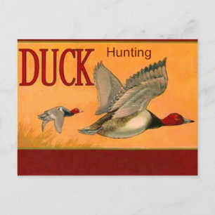Carte postale Chasse au canard