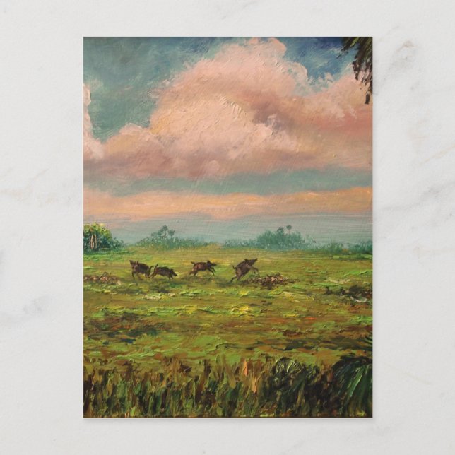 Carte Postale Chasse au porc sauvage en Floride (Devant)